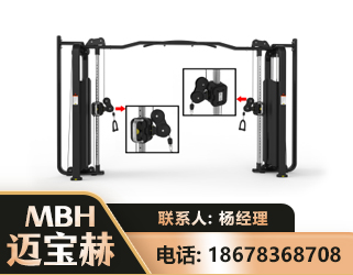 白城大飞鸟训练器